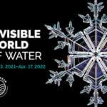 Discover the Hidden Beauty and Science of the Invisible World of Water Opening Nov. 13 at the Academy of Natural Sciences